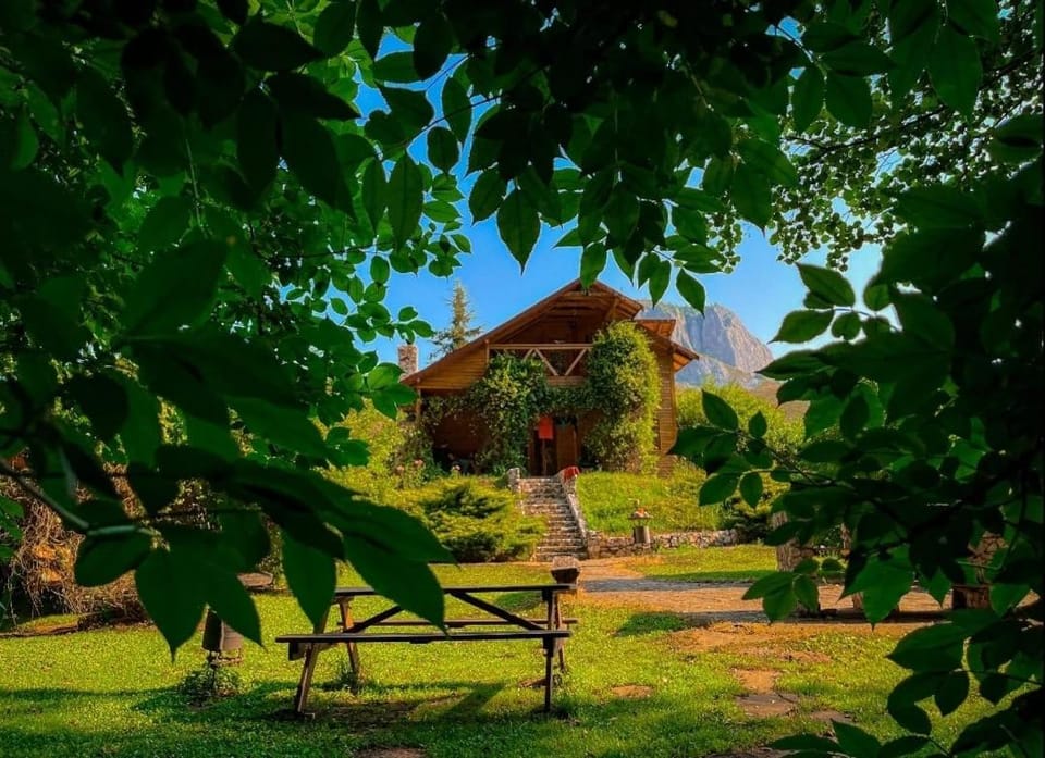 Day, Garden, Garden view