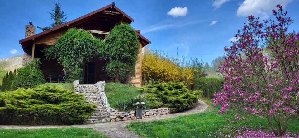 Day, Garden view