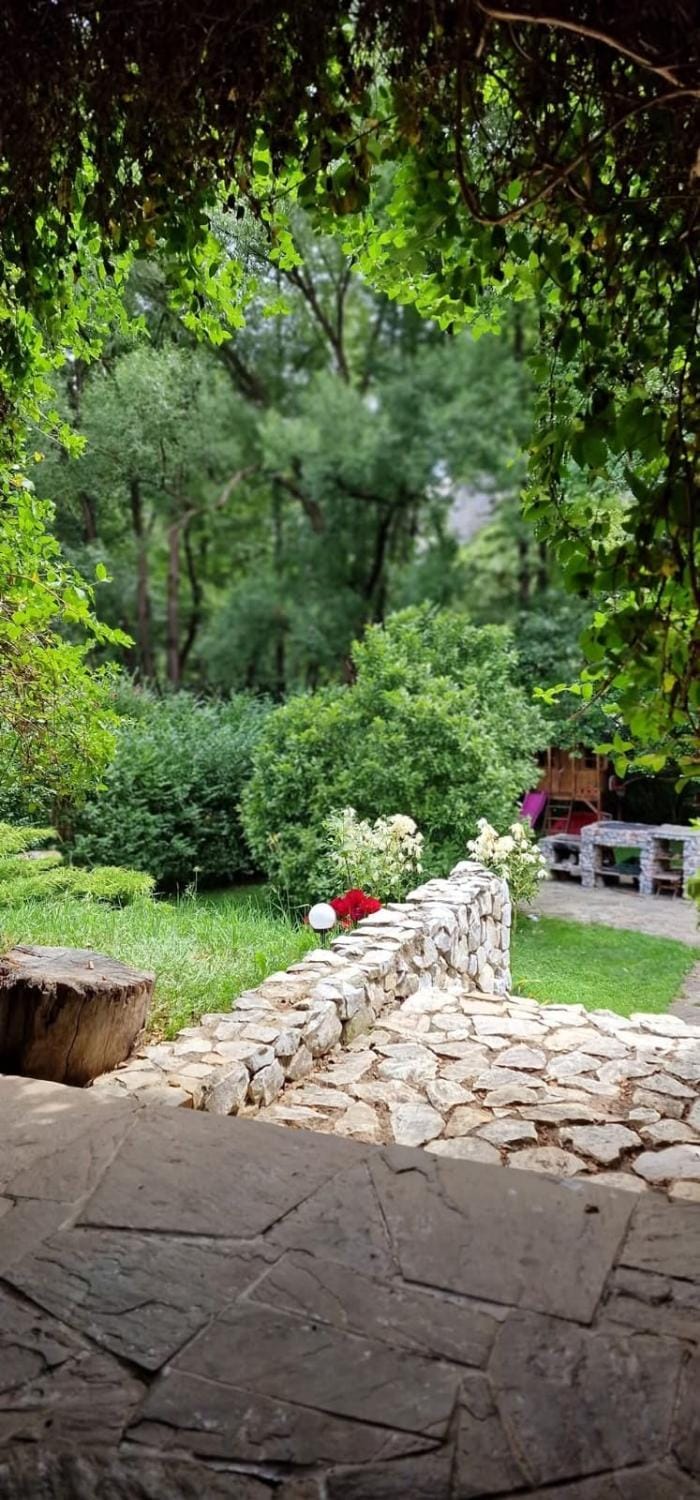 Cabana MIA Valisoara House in Romania