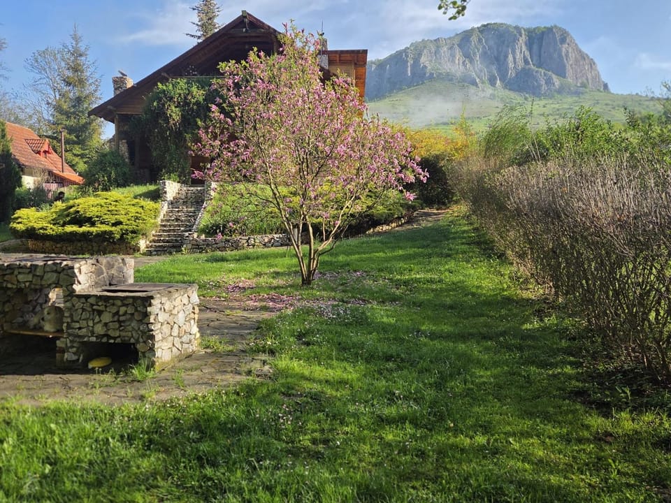Cabana MIA Valisoara House in Romania
