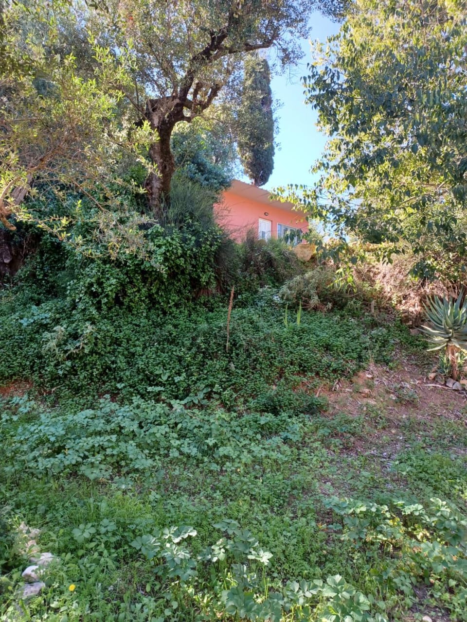 Robin Hood House in Peloponnese, Western Greece and the Ionian