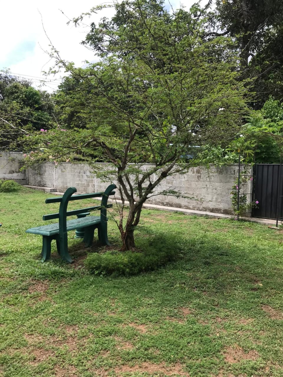 Garden view