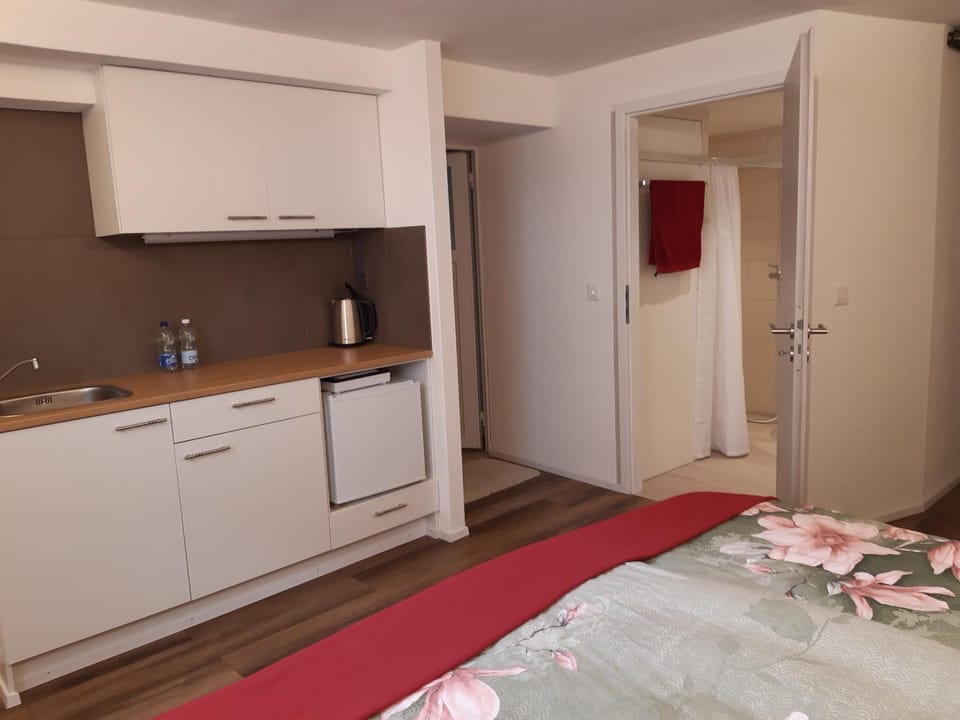 Studio "Chüngelhoschet" Apartment in St. Gallen, Switzerland