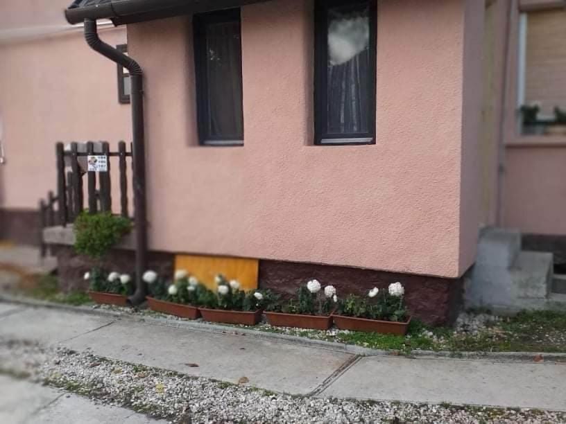 Tapolcai Hostel Vacation rental in Hungary