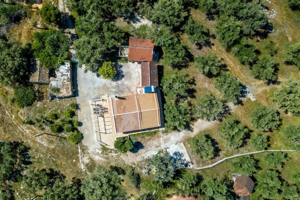 Property building, Spring, Day, Neighbourhood, Natural landscape