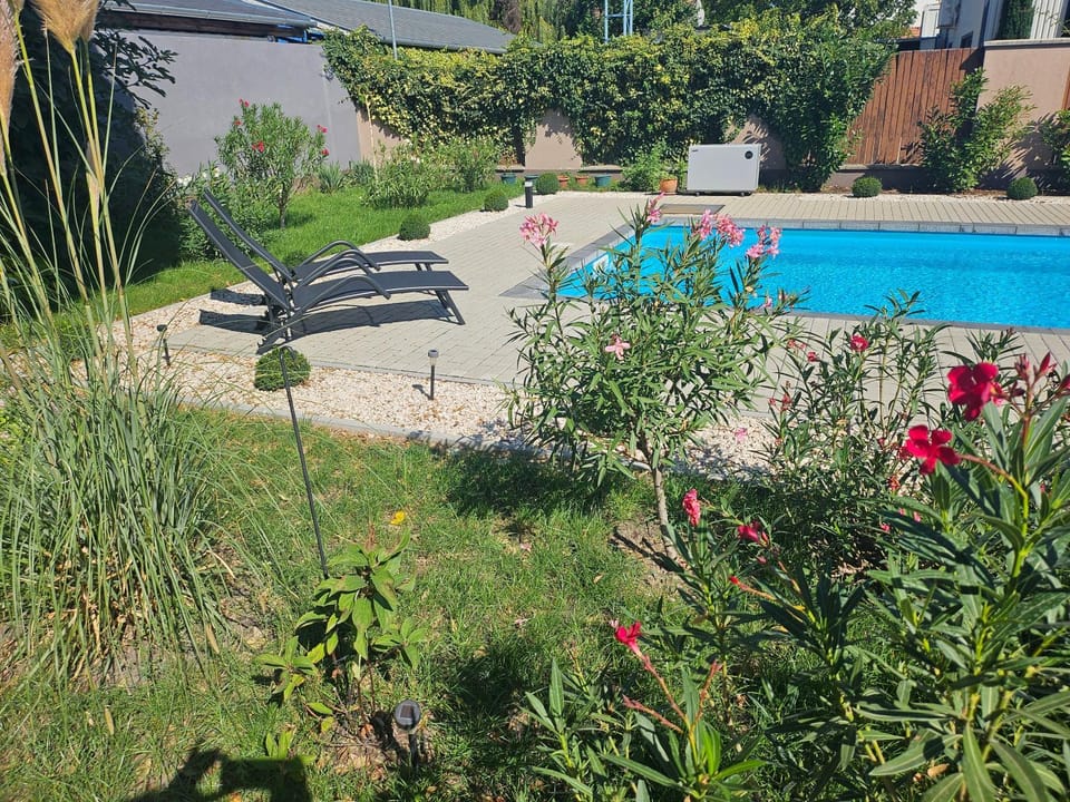 Day, Garden, Garden view, Pool view, Swimming pool, sunbed