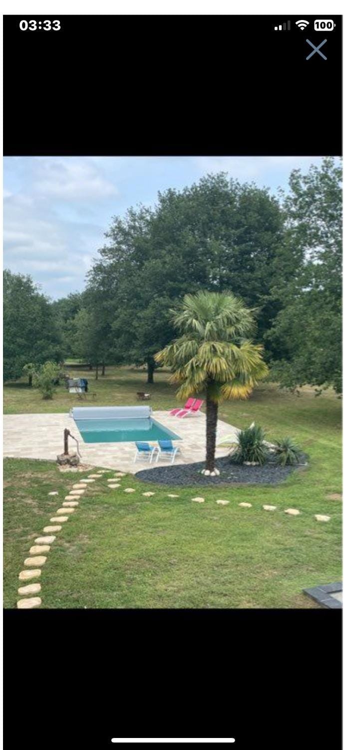 Day, Natural landscape, Garden view, Pool view