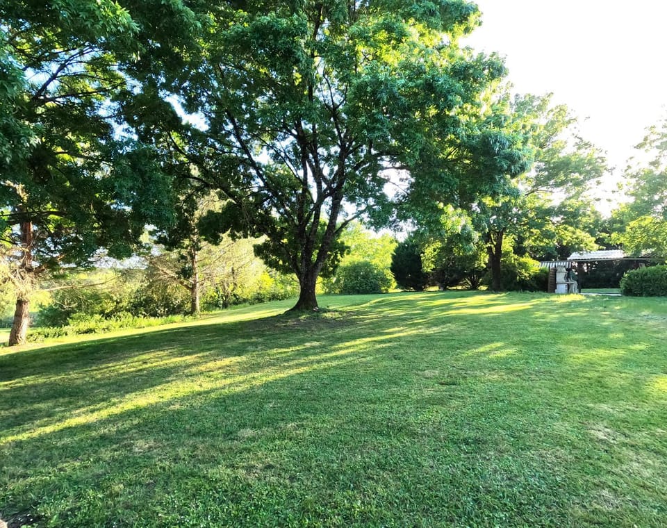 Garden view