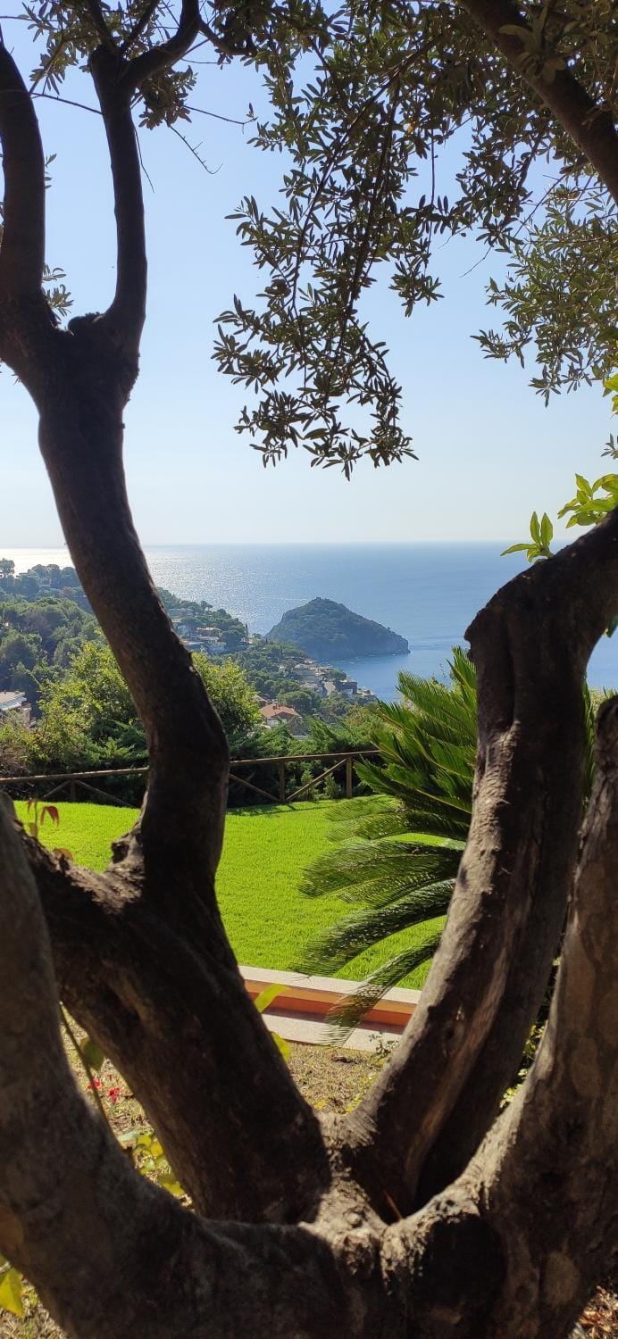 Natural landscape, Garden view, Sea view