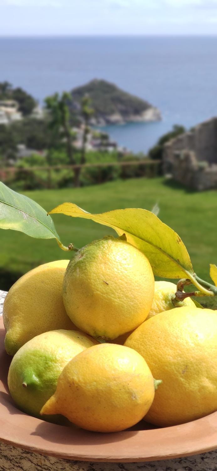 Natural landscape, Food and drinks, Sea view