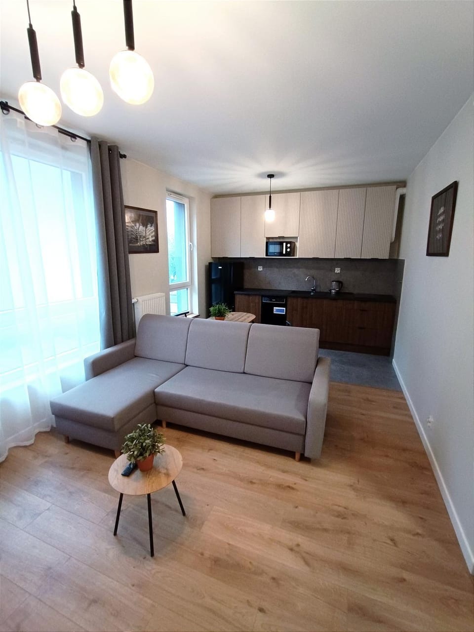 Bed, Kitchen or kitchenette, Photo of the whole room, Dining area