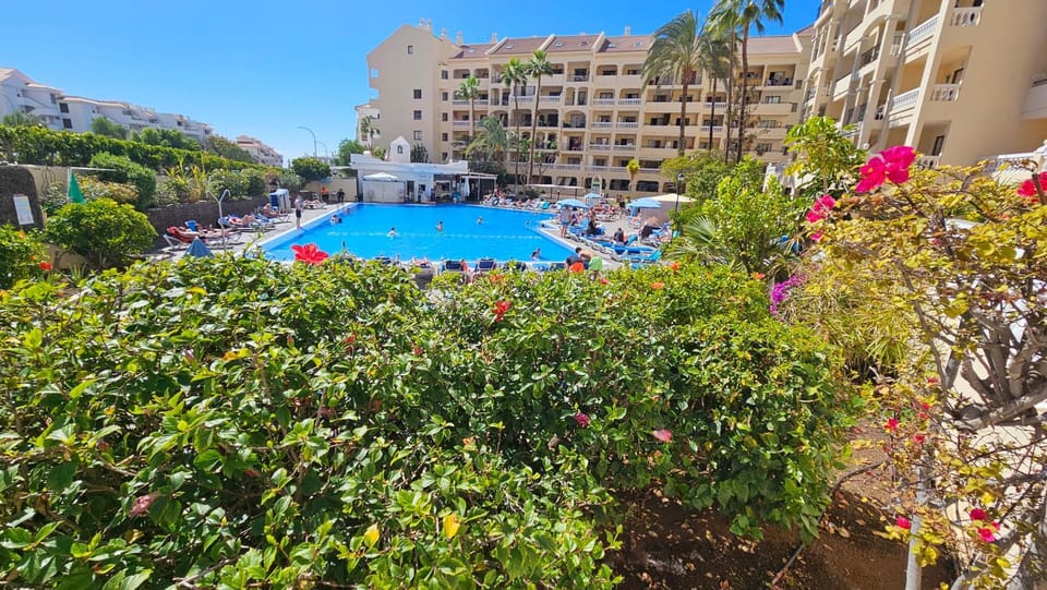 Garden, Swimming pool