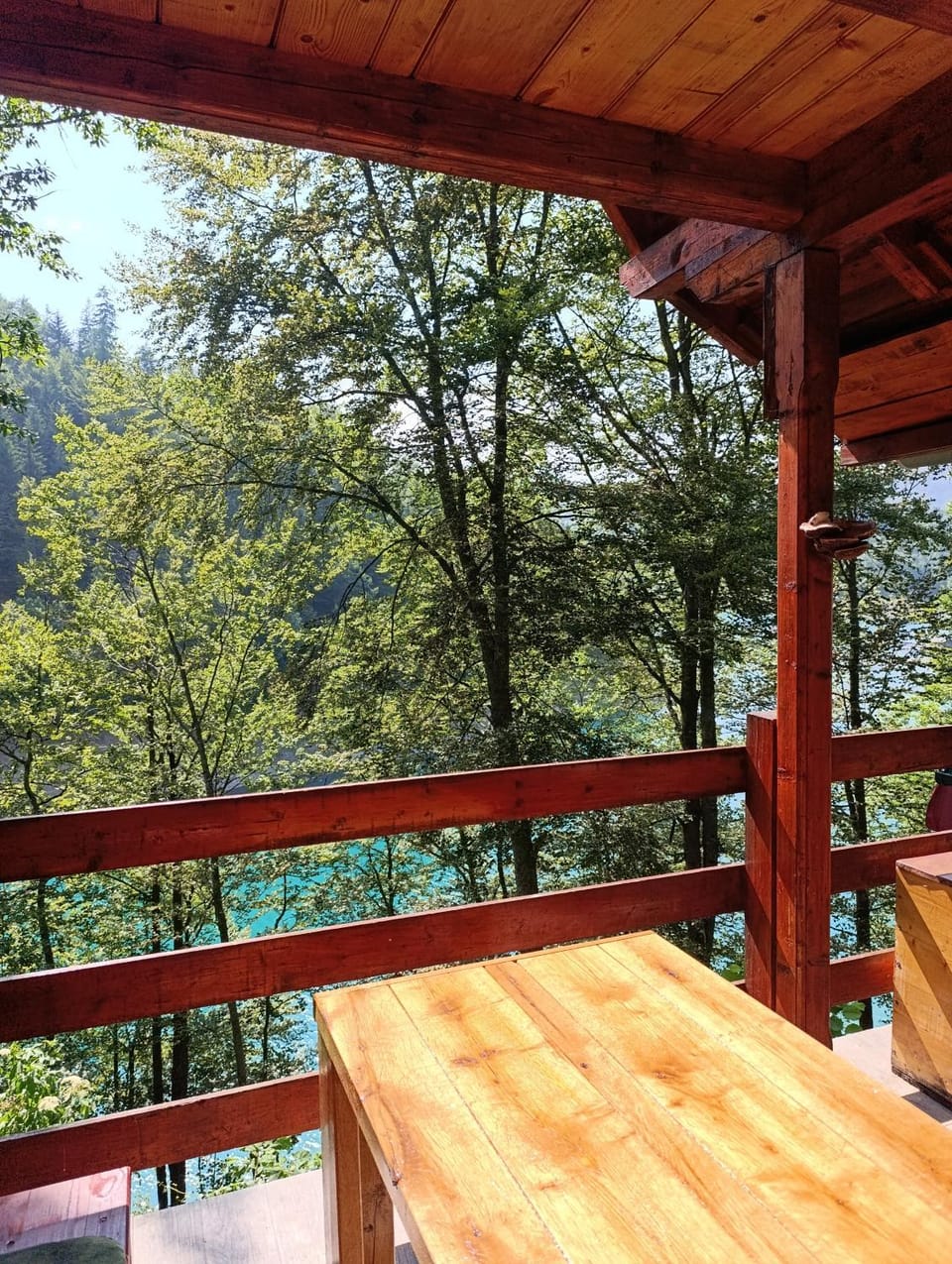 Little Heaven Apartments Nature lodge in Zlatibor District, Serbia