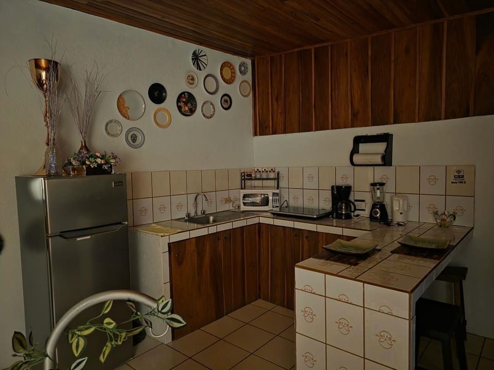 Apartamento Rustico Apartment in La Fortuna
