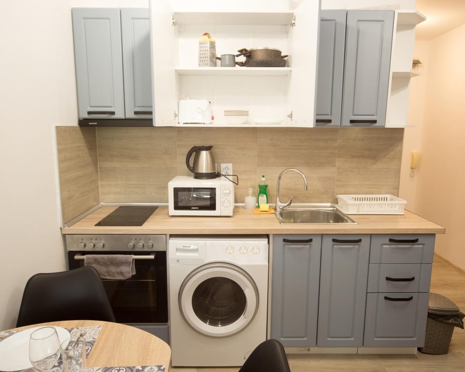 Coffee/tea facilities, Kitchen or kitchenette, minibar, pet friendly, stove, toaster, washing machine, dryer