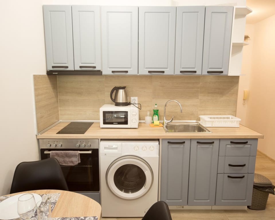 Kitchen or kitchenette, minibar, pet friendly, stove, toaster, washing machine, dryer