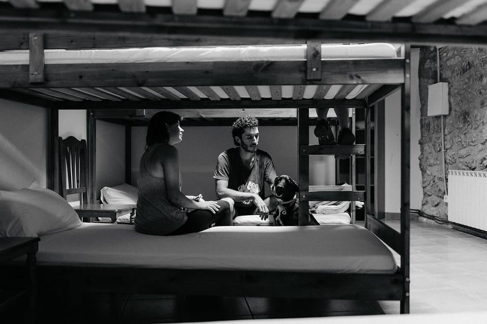 People, Photo of the whole room, Bedroom, Pets