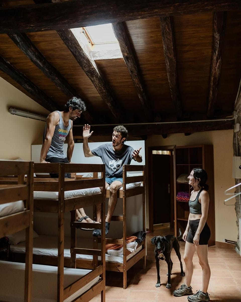People, group of guests, bunk bed