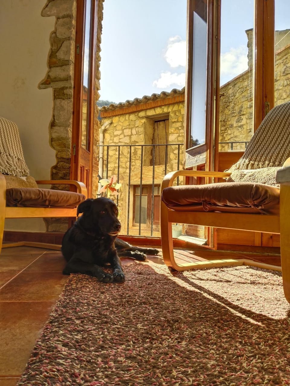 Communal lounge/ TV room, Living room, Seating area, Pets