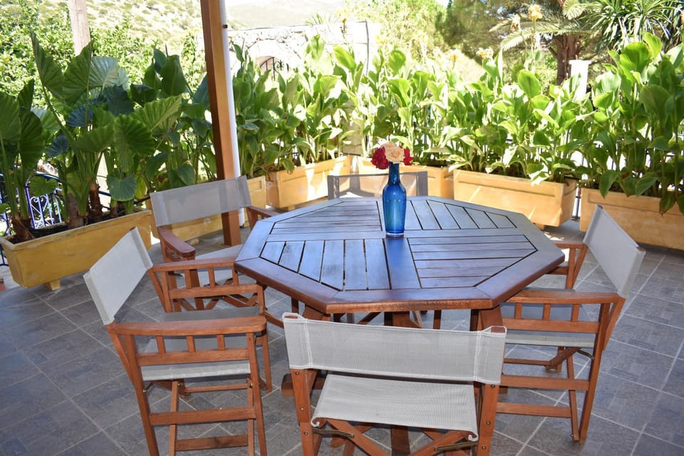 Patio, Garden view