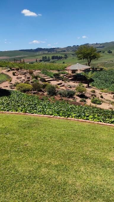 Serenity Alpaca Self Catering Cottage Apartment in KwaZulu-Natal