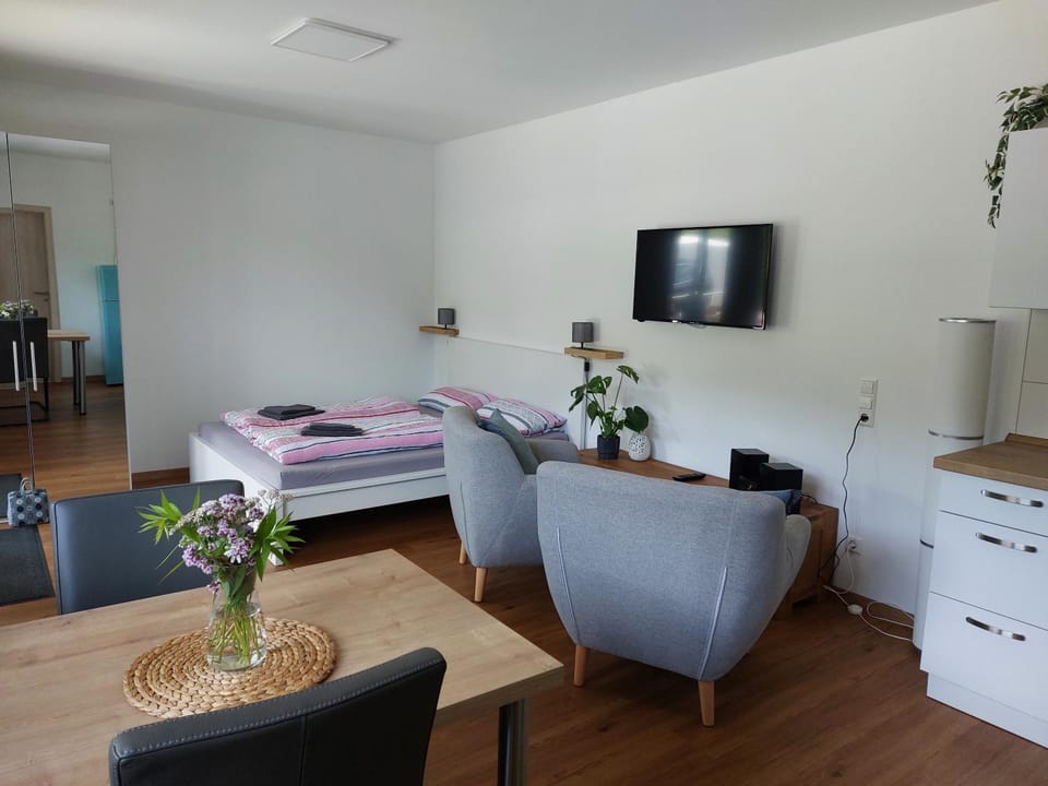 Bed, TV and multimedia, Living room, Photo of the whole room, Seating area, Dining area, Bedroom