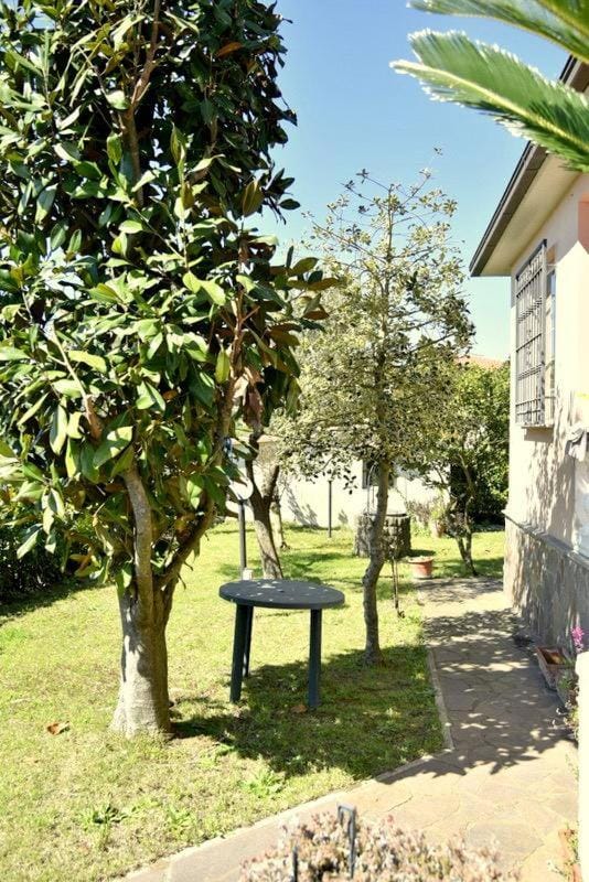 Garden, Garden view