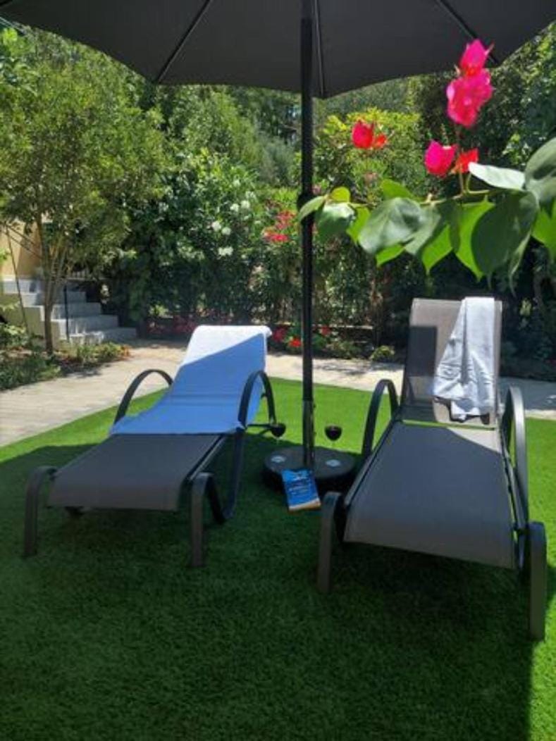 Garden, Garden view, sunbed