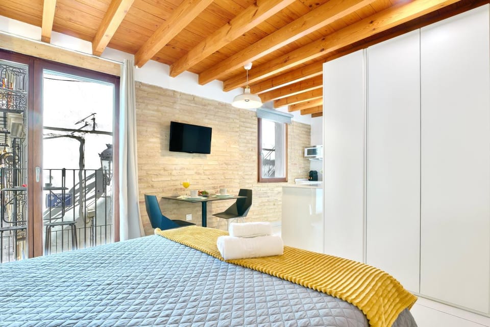 Apartamento de diseño en la Plaza del Carmen F1 Apartment in Valencia