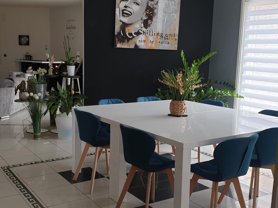 IDEAL POUR VOS VACANCES Villa in Occitanie