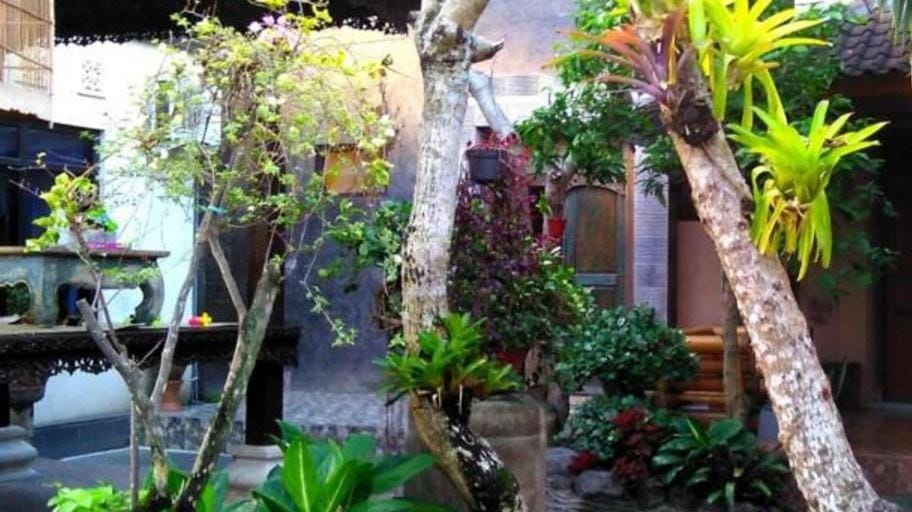 Patio, Garden, Garden view