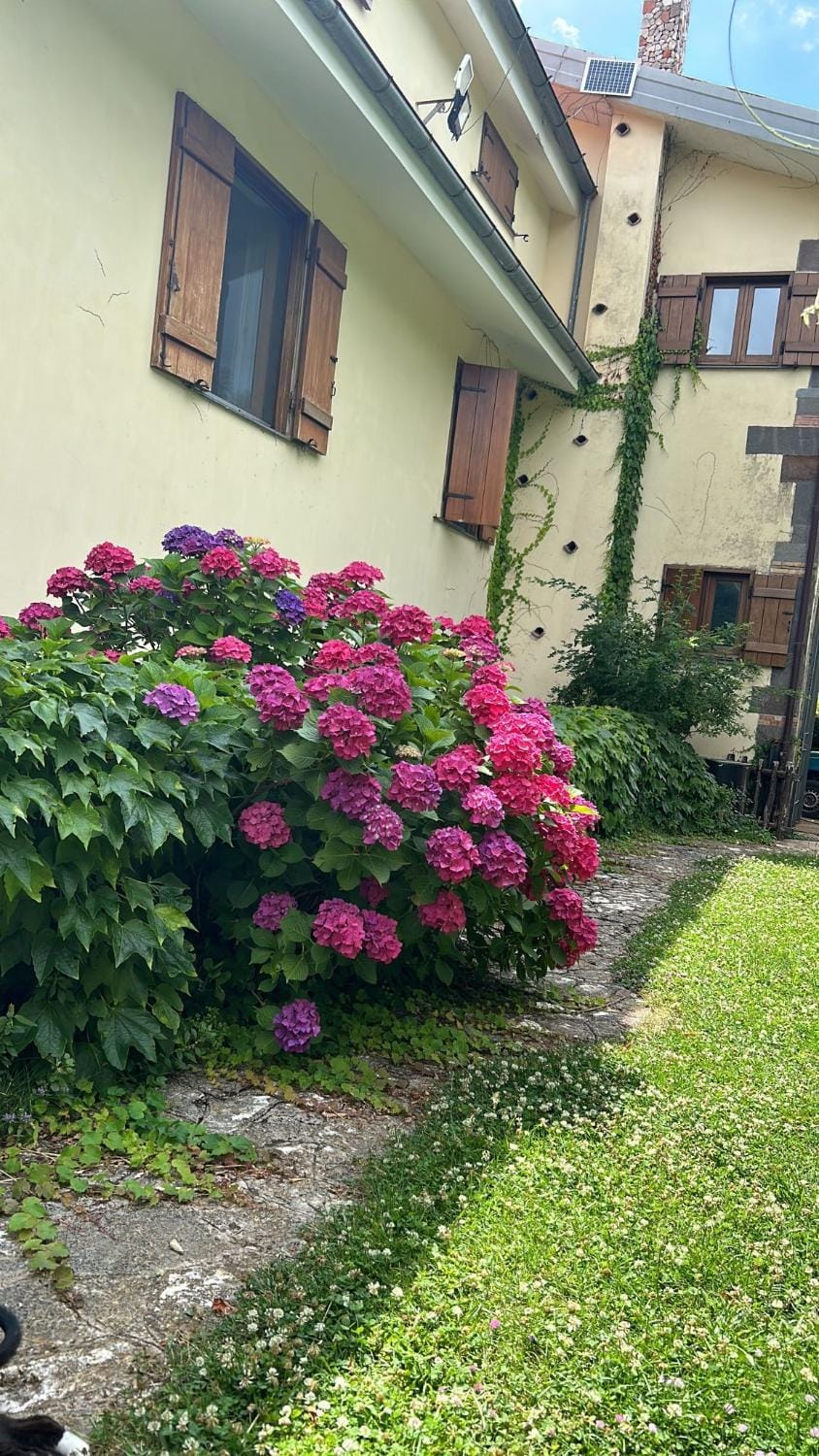 Agriturismo Casale Piè d'Eco Farm Stay in Campania
