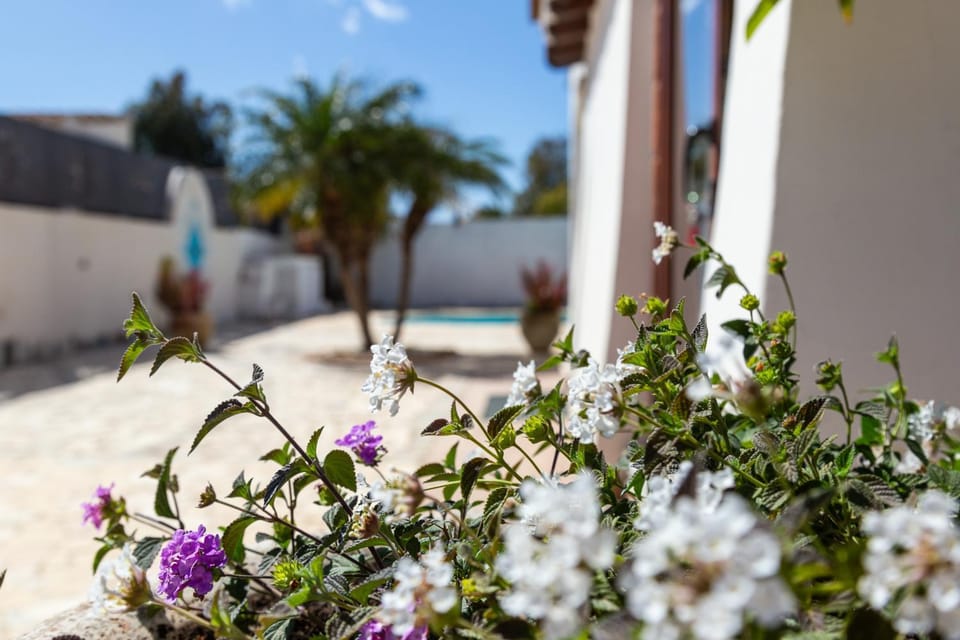 Spring, Pool view