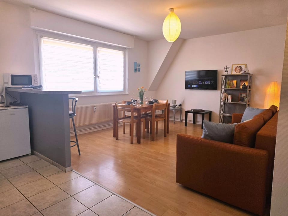 Appartement L'Orient - Parking free- 3éme étage sans ascenseur Apartment in Colmar