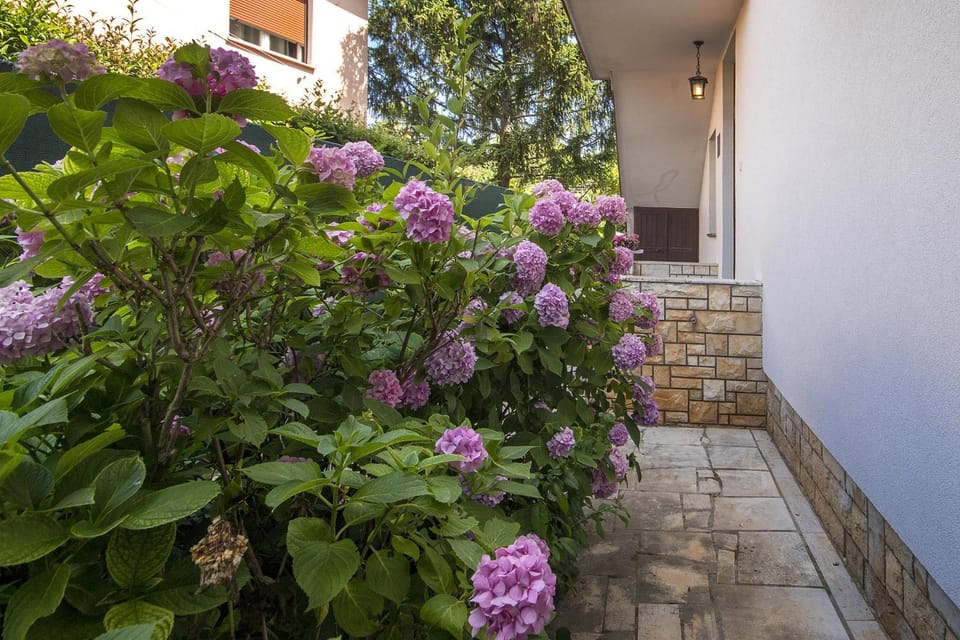 Apartment Renata Apartment in Istria County