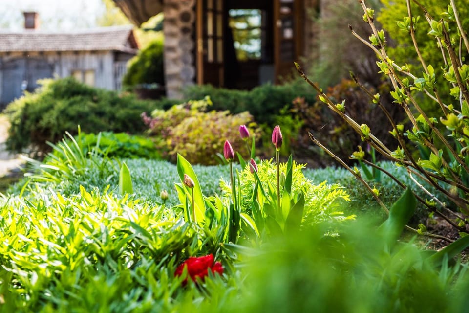 Spring, Day, Garden view