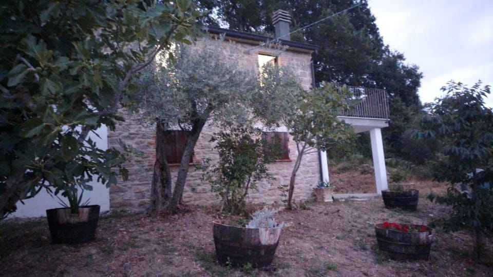 Property building, Garden, Garden view