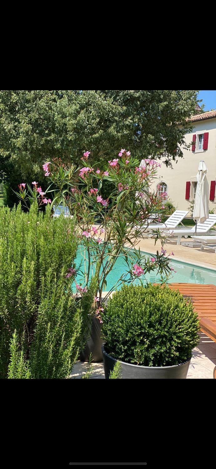 Villa Sophie Villa in Istria County