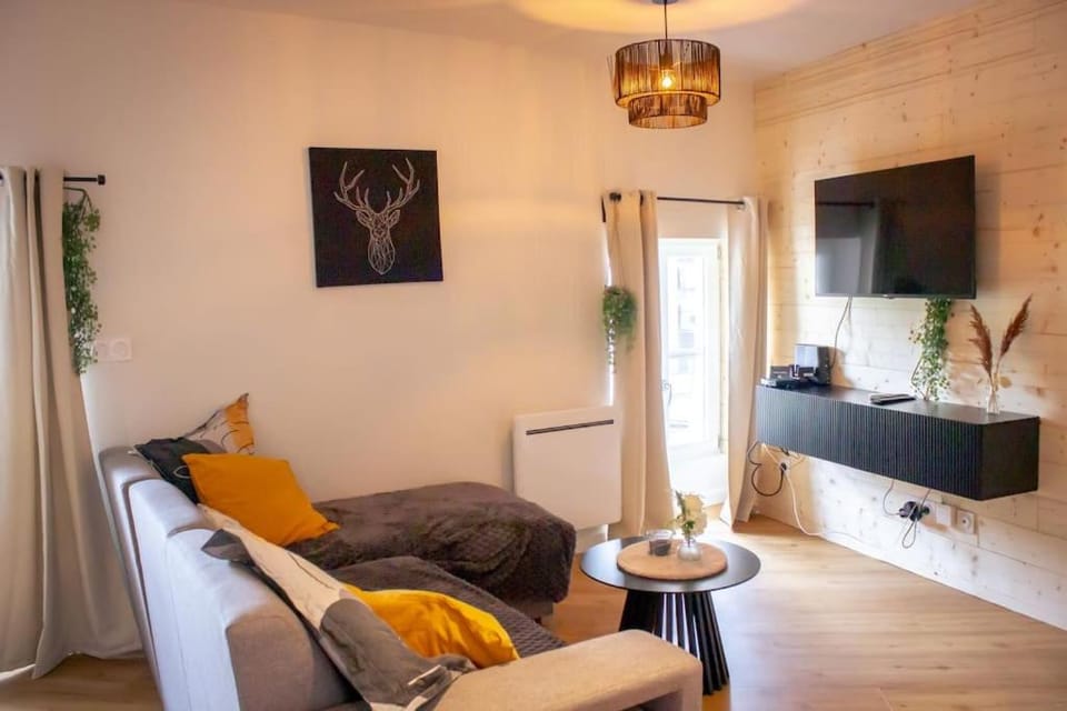 Le douillet : Duplex élégant en Centre ville Apartment in Auvergne-Rhône-Alpes