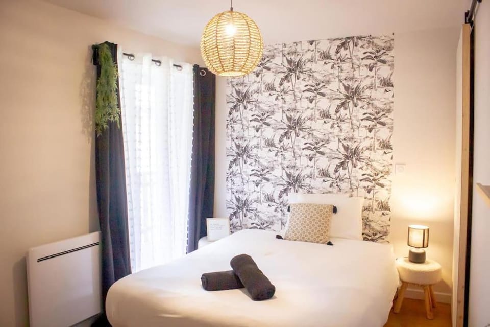 Le douillet : Duplex élégant en Centre ville Apartment in Auvergne-Rhône-Alpes