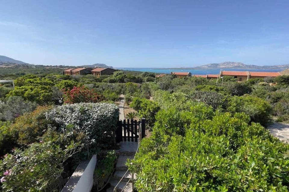 Terrazza vista mare Stintino Apartment in Stintino