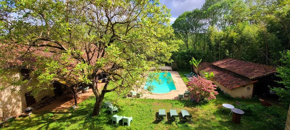 Garden, Pool view, Swimming pool, sunbed