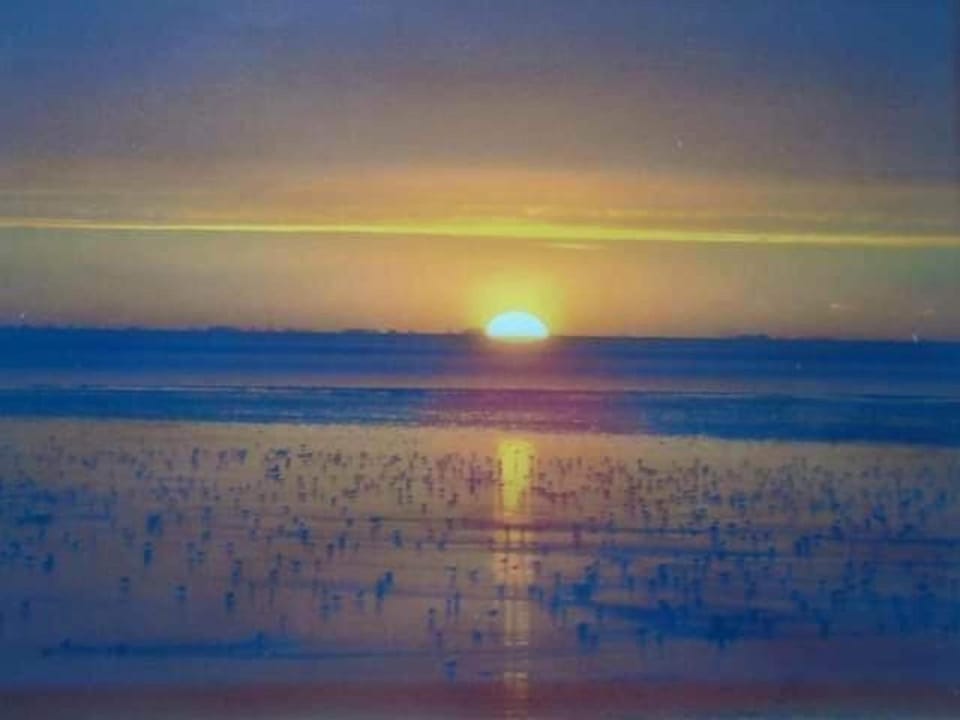 Caravan - Sleeps 8 - Decking - Pets Ok - Parking House in Heacham