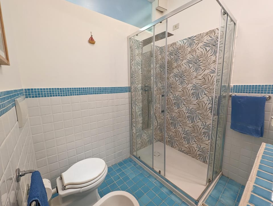 Shower, Toilet, Bathroom, towels