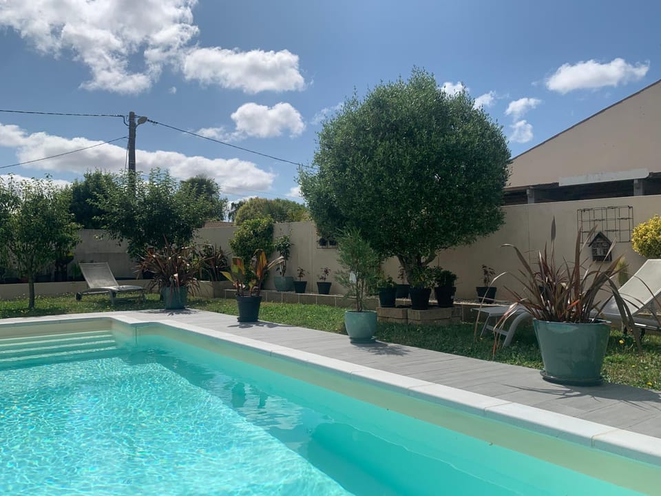 Swimming pool, sunbed