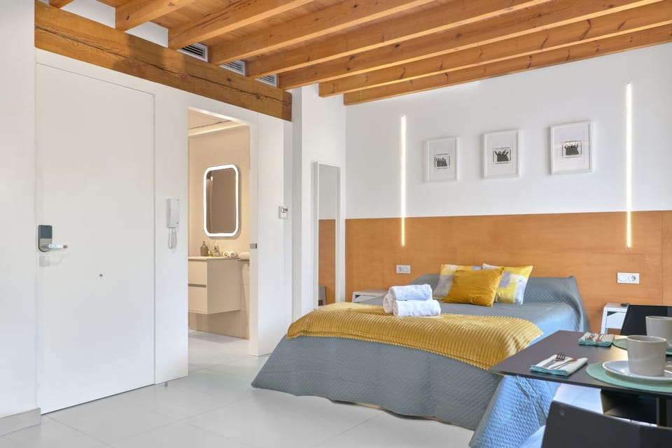 Loft elegante en Plaza del Carmen F3 Apartment in Valencia