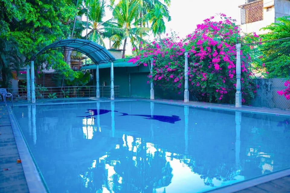 Swimming pool, Swimming pool