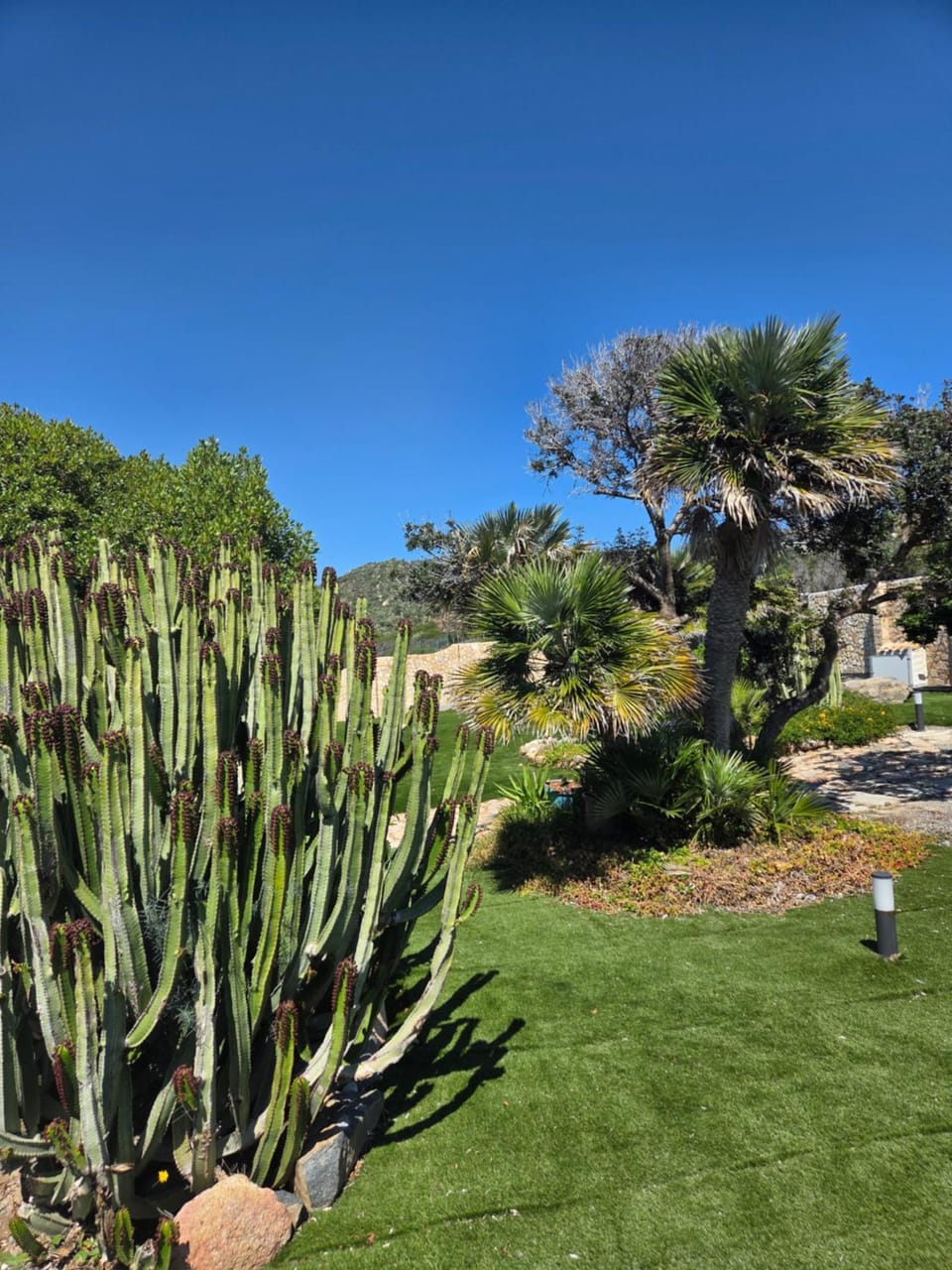 Garden, Garden view