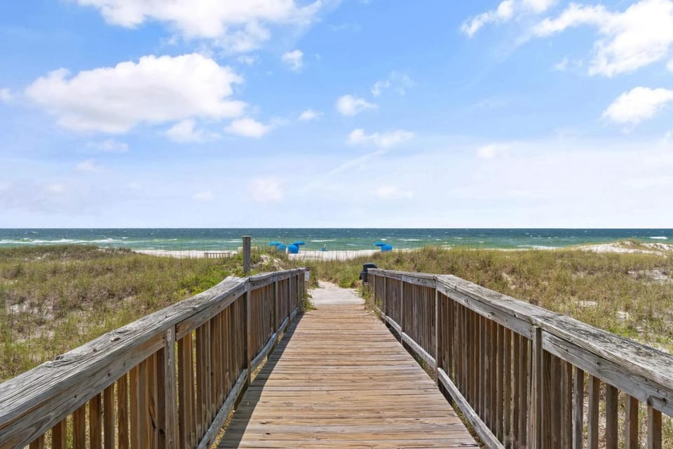 Needle Rush Point D11 House in Ono Island