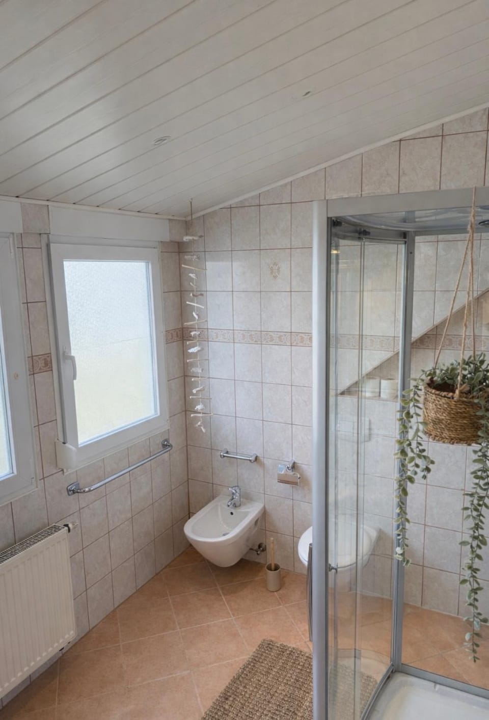 Shower, Toilet, Bathroom, bidet